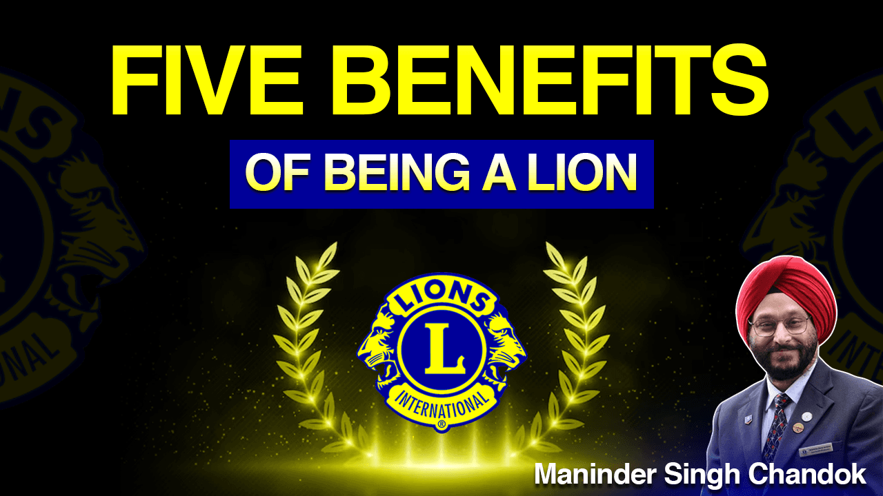 Five Benefits of Being a Lion